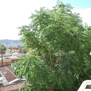Apartment Signorile Iun S0575 Cagliari